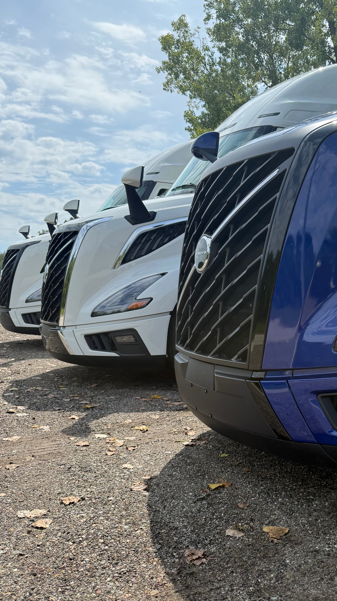 M&Q Transportation Volvo trucks lined up in the fleet yard